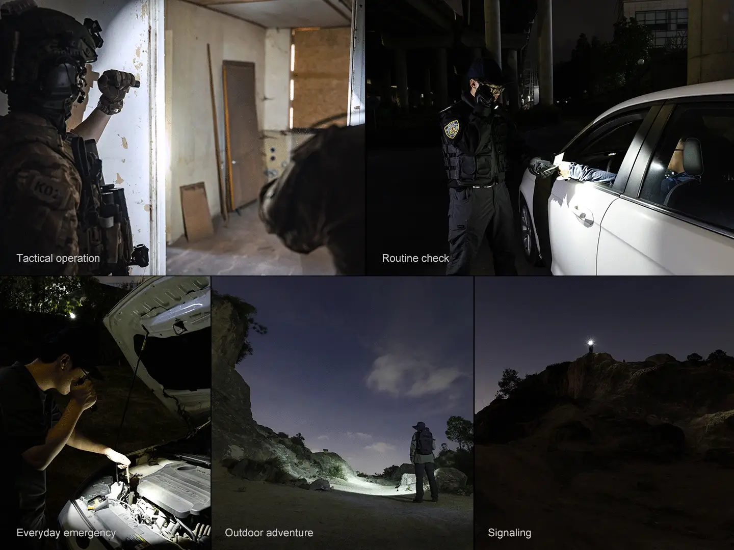 Thumbnail 11